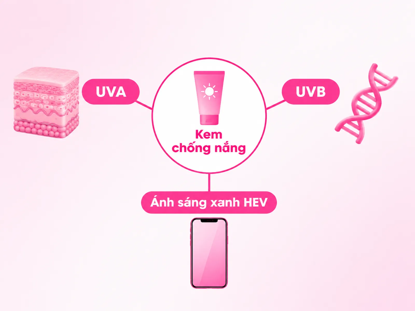 Diagram hiển thị kem chống nắng bảo vệ da khỏi UVA, UVB, HEV, nhãn tiếng Việt rõ ràng